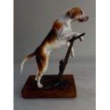 An Albany Fine China porcelain and metal model of a Foxhound, modelled by Neil Campbell, on wooden