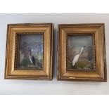 A pair of framed feather pictures of birds, each frame 17cm by 14cm