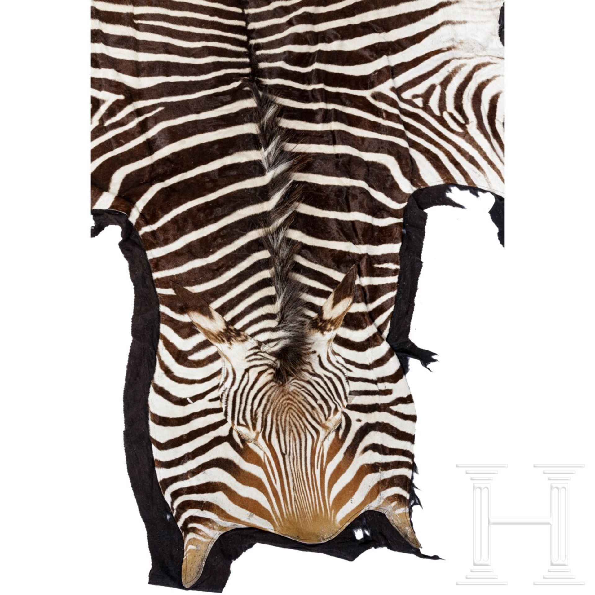 Zebrafell, sŸdšstliches Afrika, 20. Jhdt. - Bild 2 aus 3