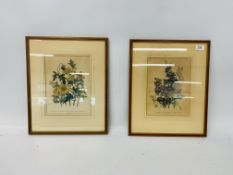 A SET OF SIX FRAMED AND MOUNTED COLOURED BOTANICAL STUDY PRINTS AND A SET OF FIVE FRAMED AND