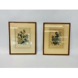 A SET OF SIX FRAMED AND MOUNTED COLOURED BOTANICAL STUDY PRINTS AND A SET OF FIVE FRAMED AND