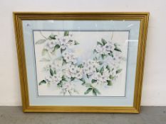 A LARGE FRAMED AND MOUNTED ORIGINAL WATERCOLOUR STUDY OF BLOSSOM BEARING SIGNATURE D.