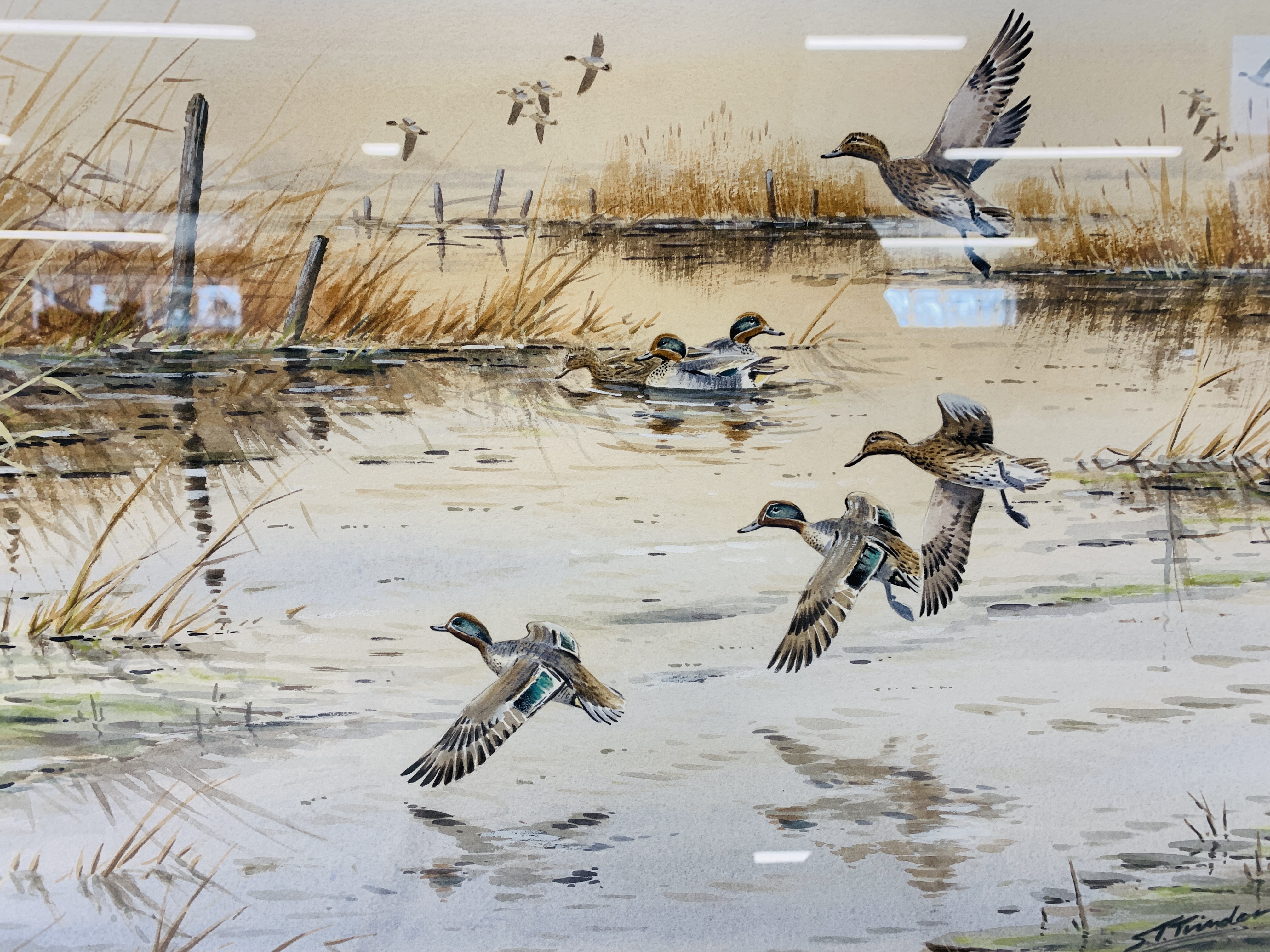 TWO FRAMED AND MOUNTED ORIGINAL WATERCOLOURS - MALLARD IN FLIGHT OVER WETLAND 33cm X 47cm AND - Image 3 of 8