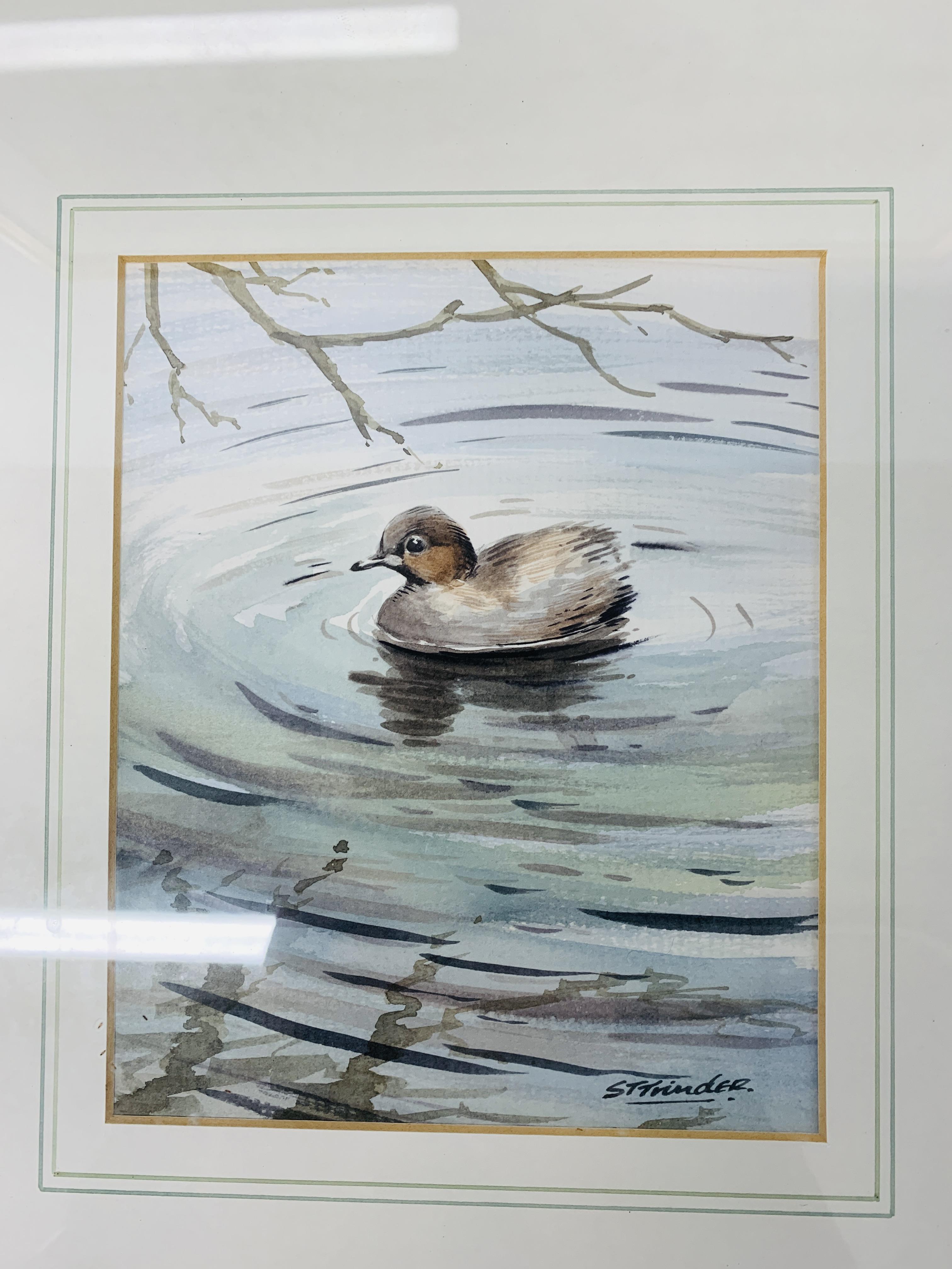 TWO FRAMED AND MOUNTED ORIGINAL WATERCOLOURS - MALLARD IN FLIGHT OVER WETLAND 33cm X 47cm AND - Image 7 of 8