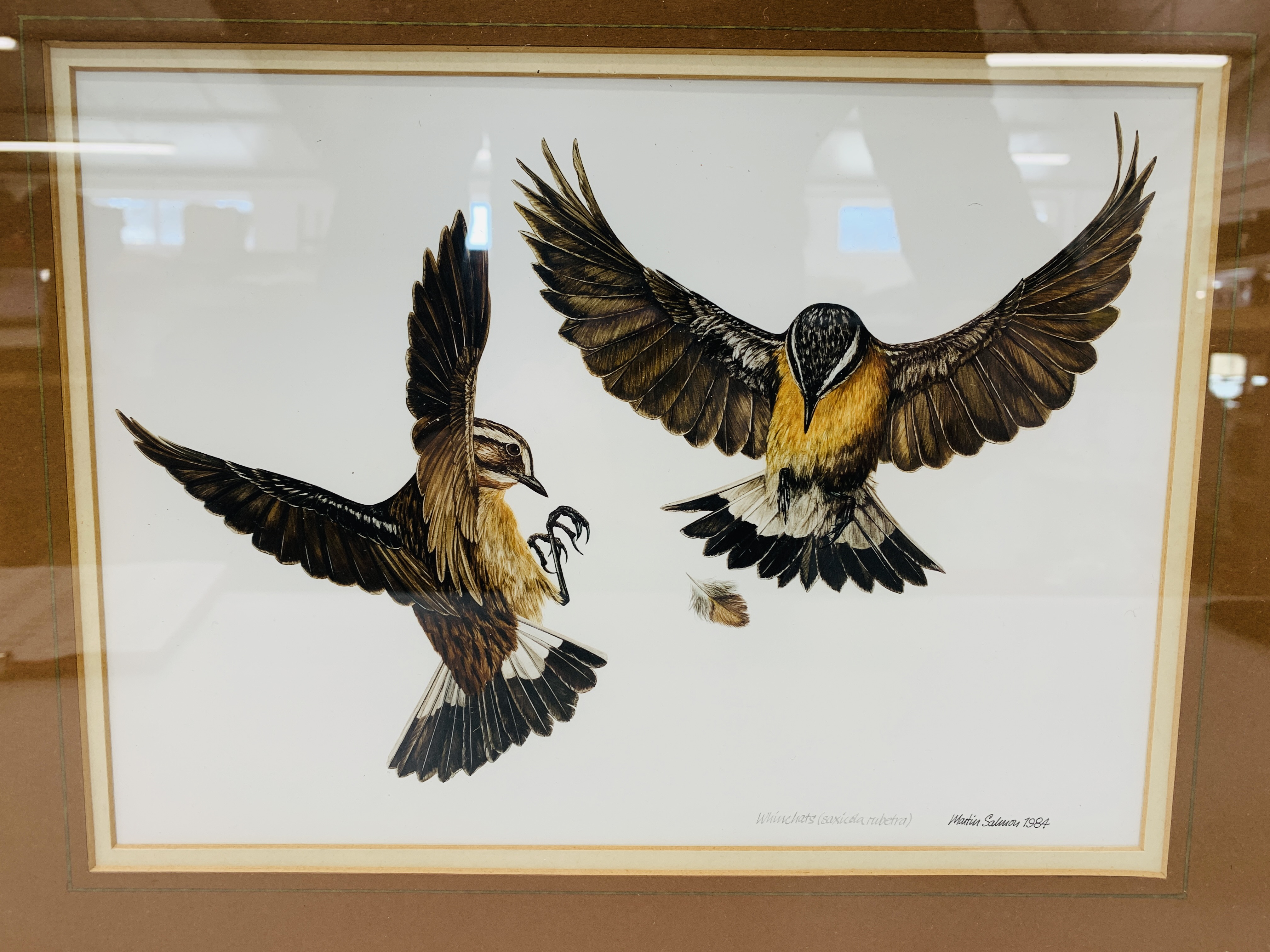 FOUR FRAMED AND MOUNTED MARTIN SALMON ORNITHOLOGY PRINTS - "WHINCHATS", "OSPREY", - Image 2 of 8