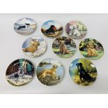 A GROUP OF EIGHT HAMILTON COLLECTION PORCELAIN COLLECTORS PLATES DEPICTING DOG BREEDS,