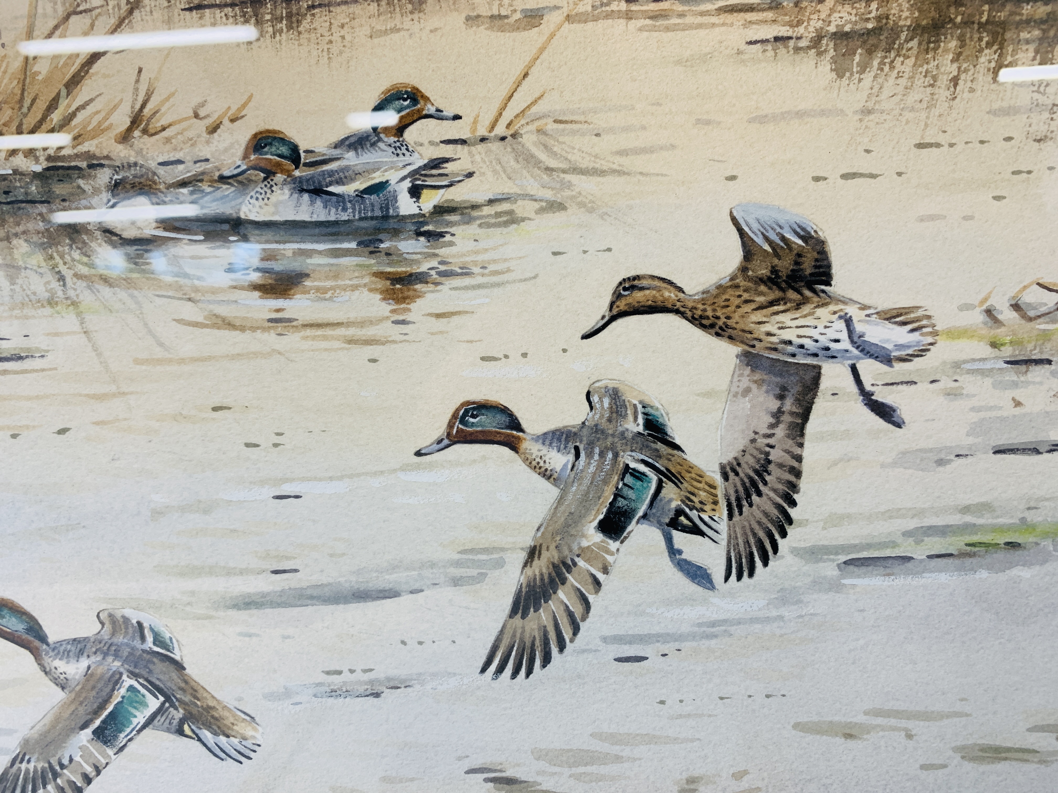 TWO FRAMED AND MOUNTED ORIGINAL WATERCOLOURS - MALLARD IN FLIGHT OVER WETLAND 33cm X 47cm AND - Image 5 of 8
