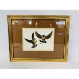 FOUR FRAMED AND MOUNTED MARTIN SALMON ORNITHOLOGY PRINTS - "WHINCHATS", "OSPREY",