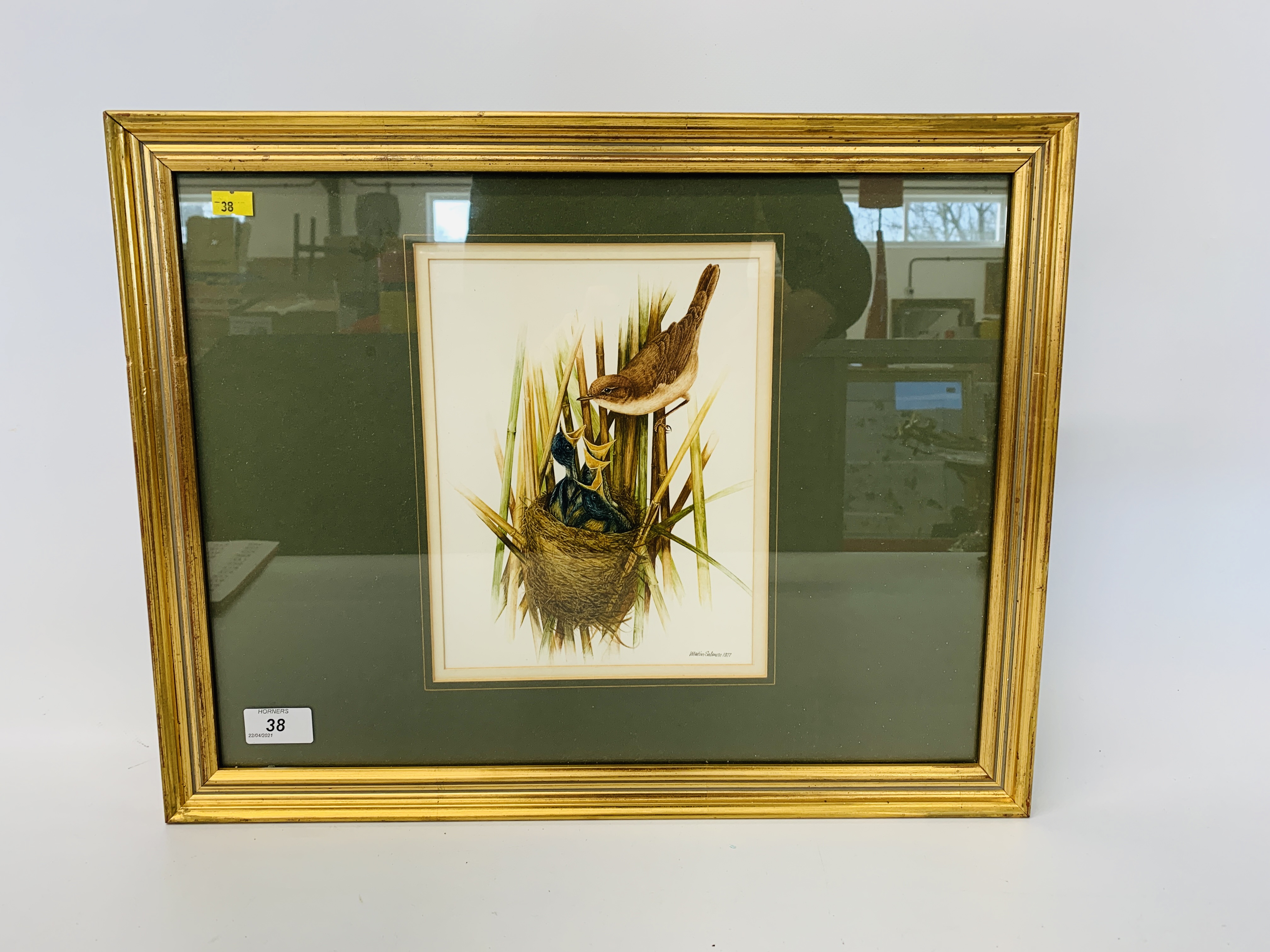 FOUR FRAMED AND MOUNTED MARTIN SALMON ORNITHOLOGY PRINTS - "WHINCHATS", "OSPREY", - Image 7 of 8