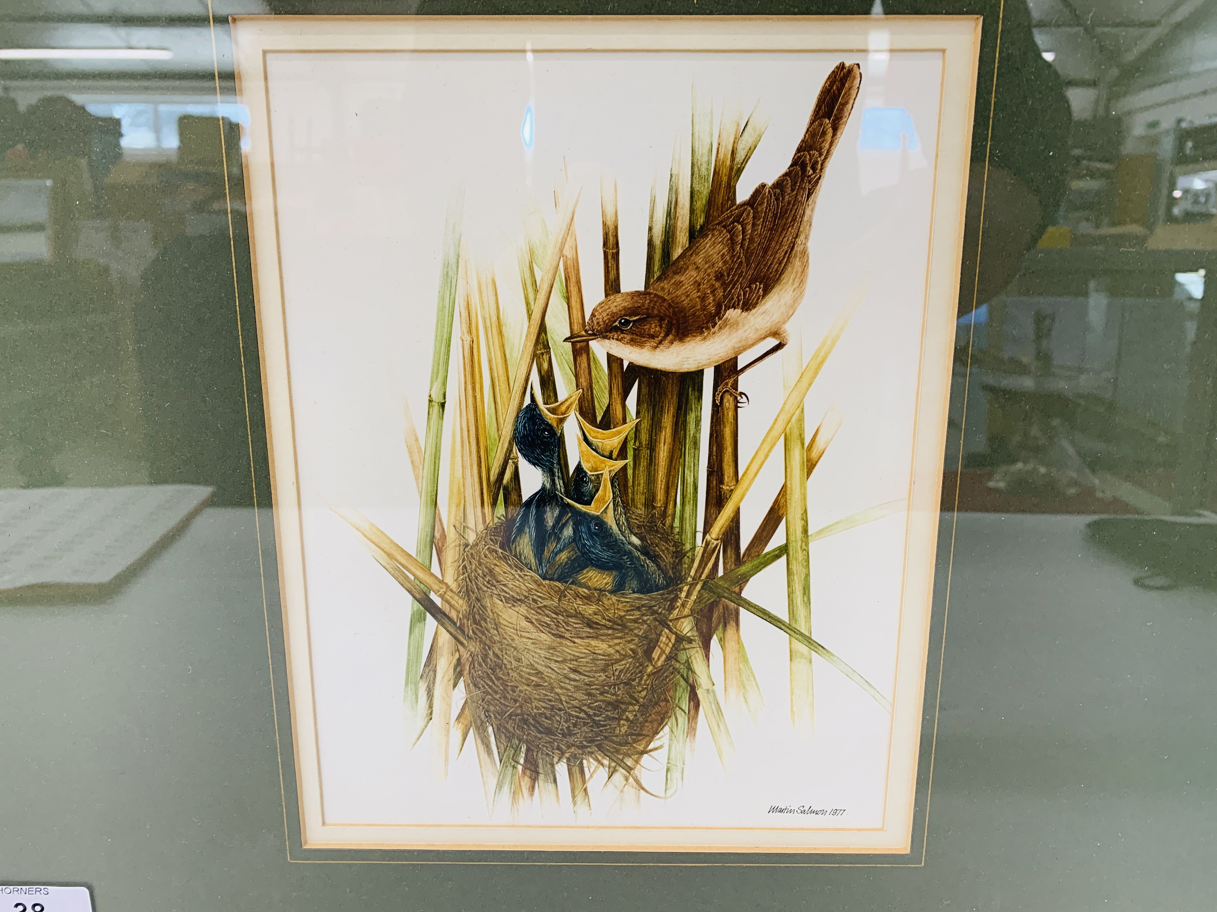 FOUR FRAMED AND MOUNTED MARTIN SALMON ORNITHOLOGY PRINTS - "WHINCHATS", "OSPREY", - Image 8 of 8