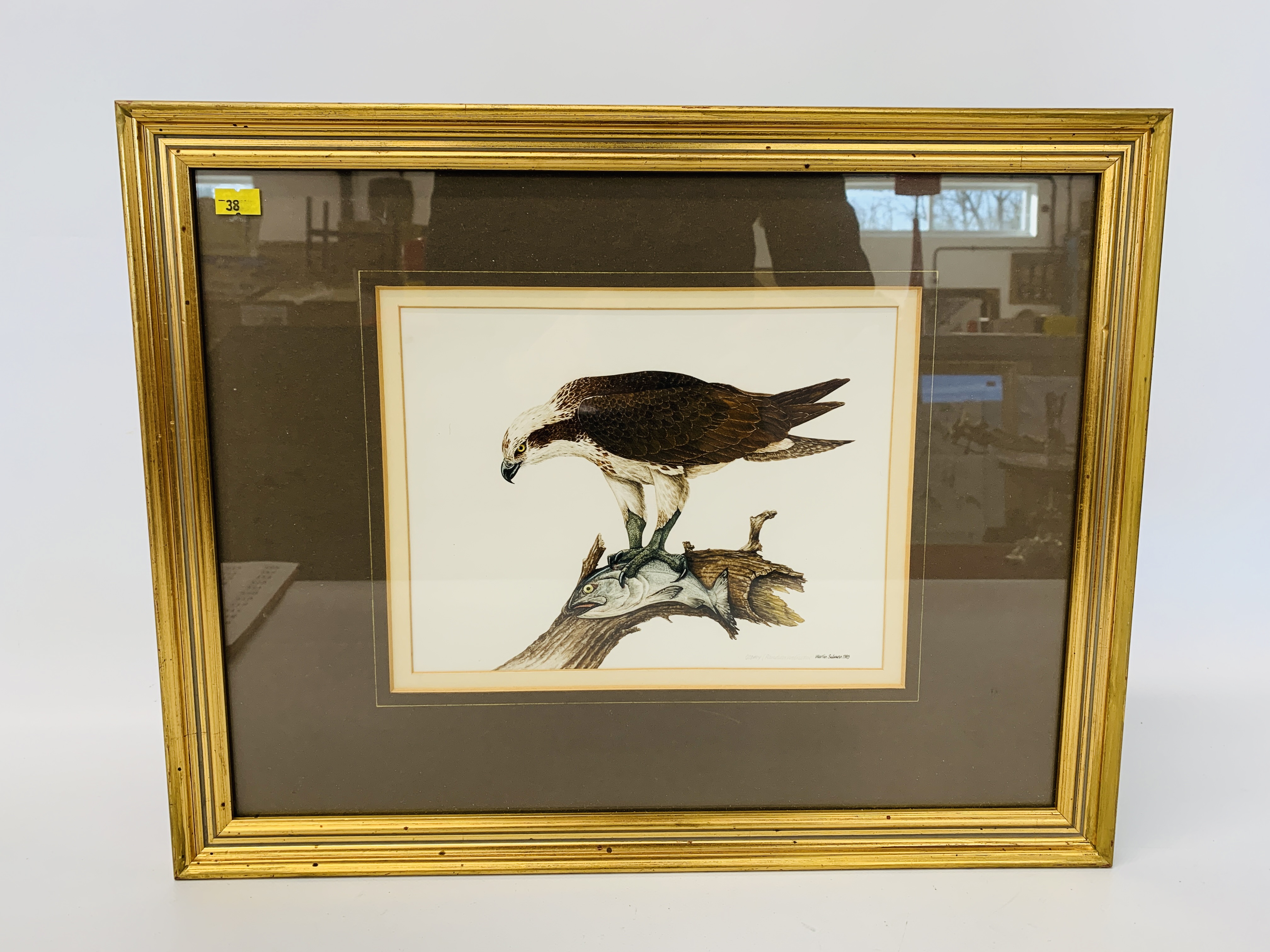 FOUR FRAMED AND MOUNTED MARTIN SALMON ORNITHOLOGY PRINTS - "WHINCHATS", "OSPREY", - Image 3 of 8
