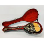 A GREEK BOUZOUKI IN HARD PROTECTIVE TRANSIT CASE