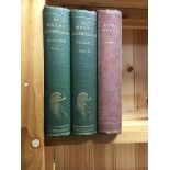 Wallace (Alfred Russel) Malay Archipelago) Rare 1st edition of this 2 vol. famous scientific work.