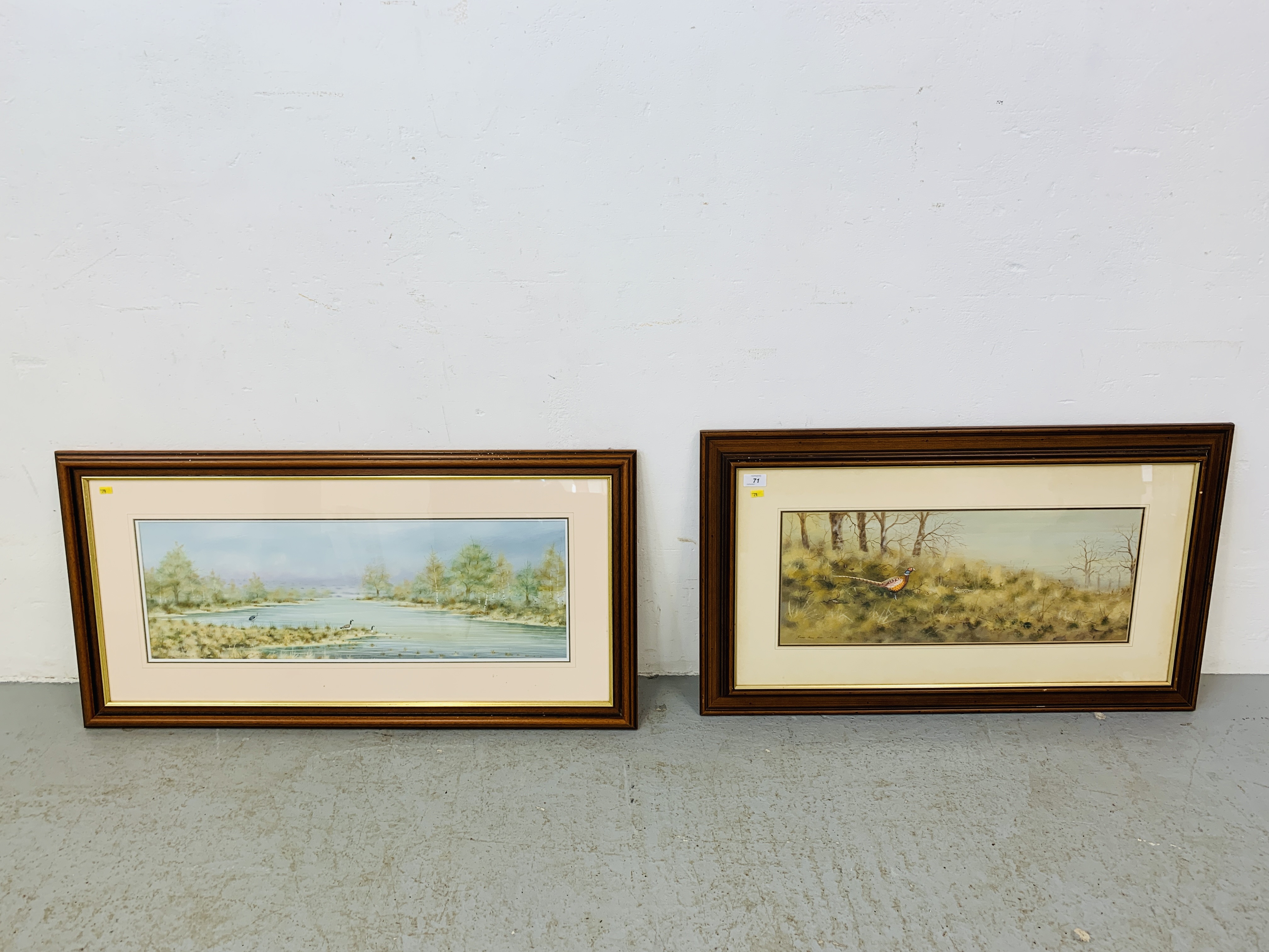 TWO FRAMED STEPHEN FRANCIS ALLEN WATERCOLOURS "HERON & GEESE IN WETLAND SCENE" 25 X 72.