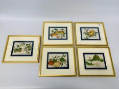 SET OF 5 FRAMED C19 CHINESE PITH PAINTINGS OF FRUIT.