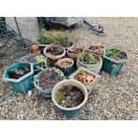 A GROUP OF ASSORTED GARDEN PLANTERS TO INCLUDE STONEWORK AND TERRACOTTA (15) PLUS LARGE QTY OF