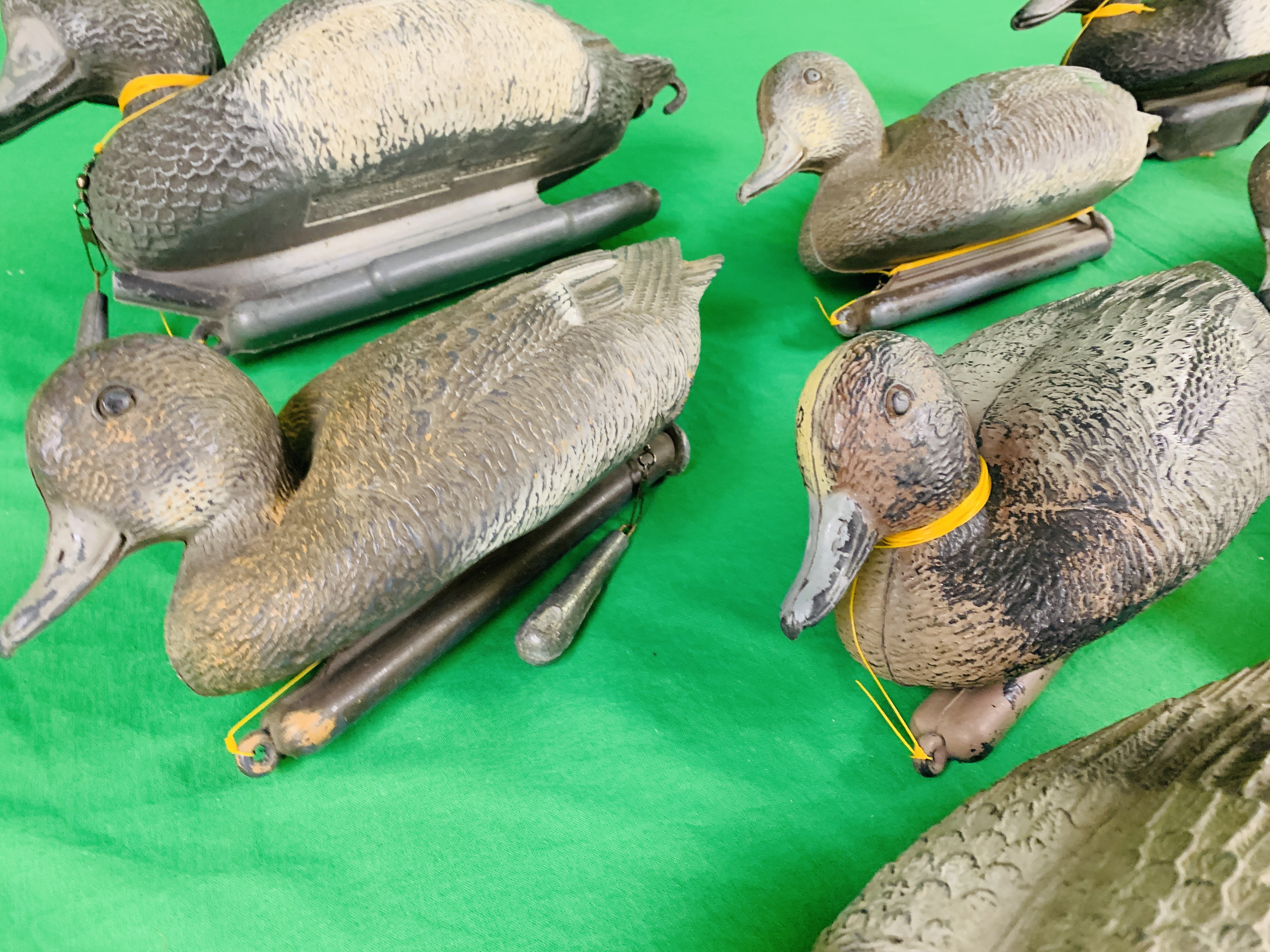 16 X DECOY DUCKS (7 WIDGEON, 1 PINTAIL, - Image 4 of 13