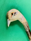 A HAND CRAFTED WALKING STICK THE FINIAL HAND CARVED AND PAINTED AS HEN PHEASANT