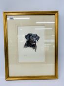 FRAMED WATERCOLOUR OF A LABRADOR BEARING SIGNATURE JOHN PALEY