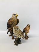 2 X BIRDS OF PREY STUDIES TO INCLUDE BUZZARD,