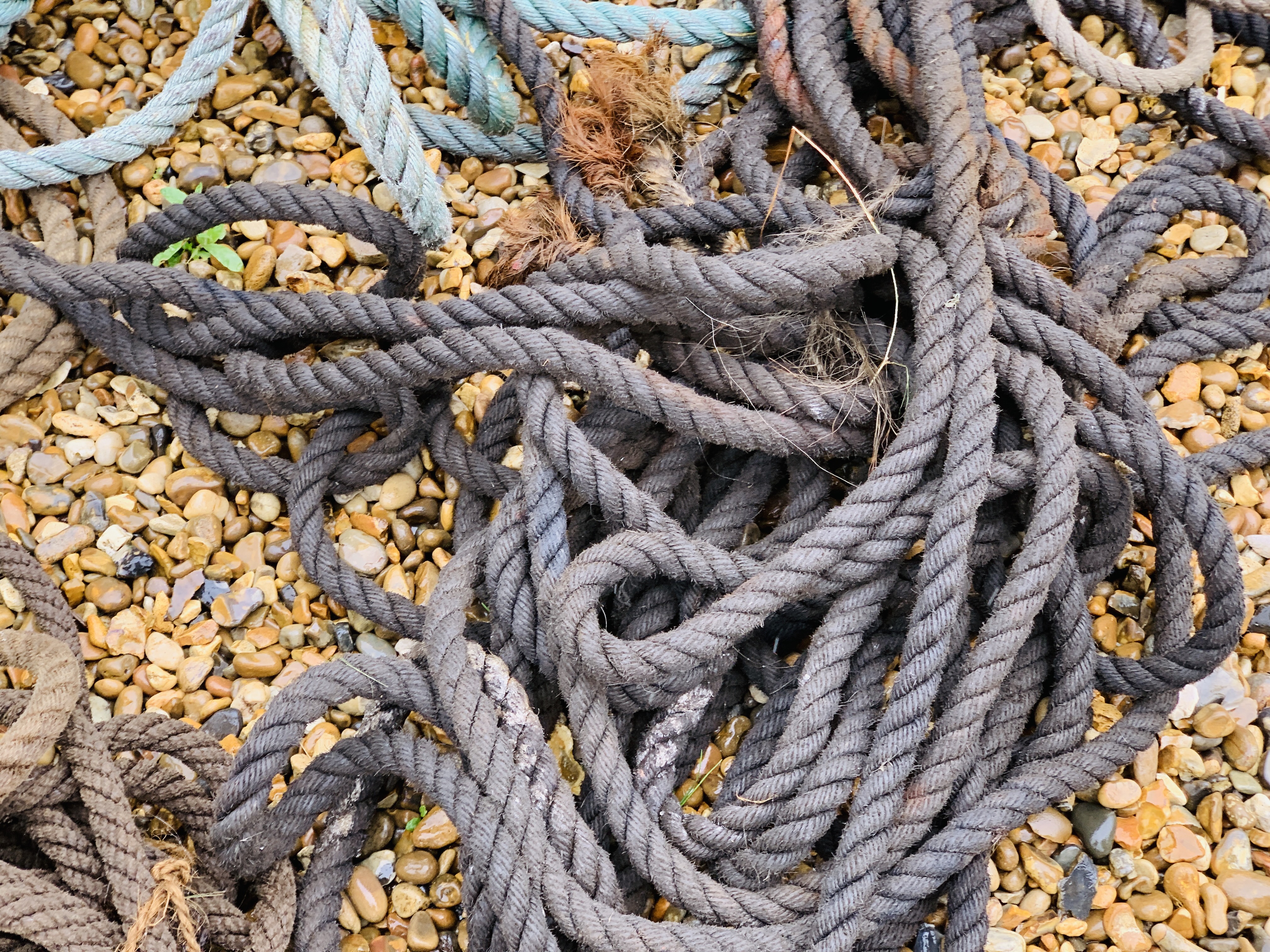 APPROX 18 COILS OF VARIOUS NYLON & SISAL ROPE - Image 14 of 15