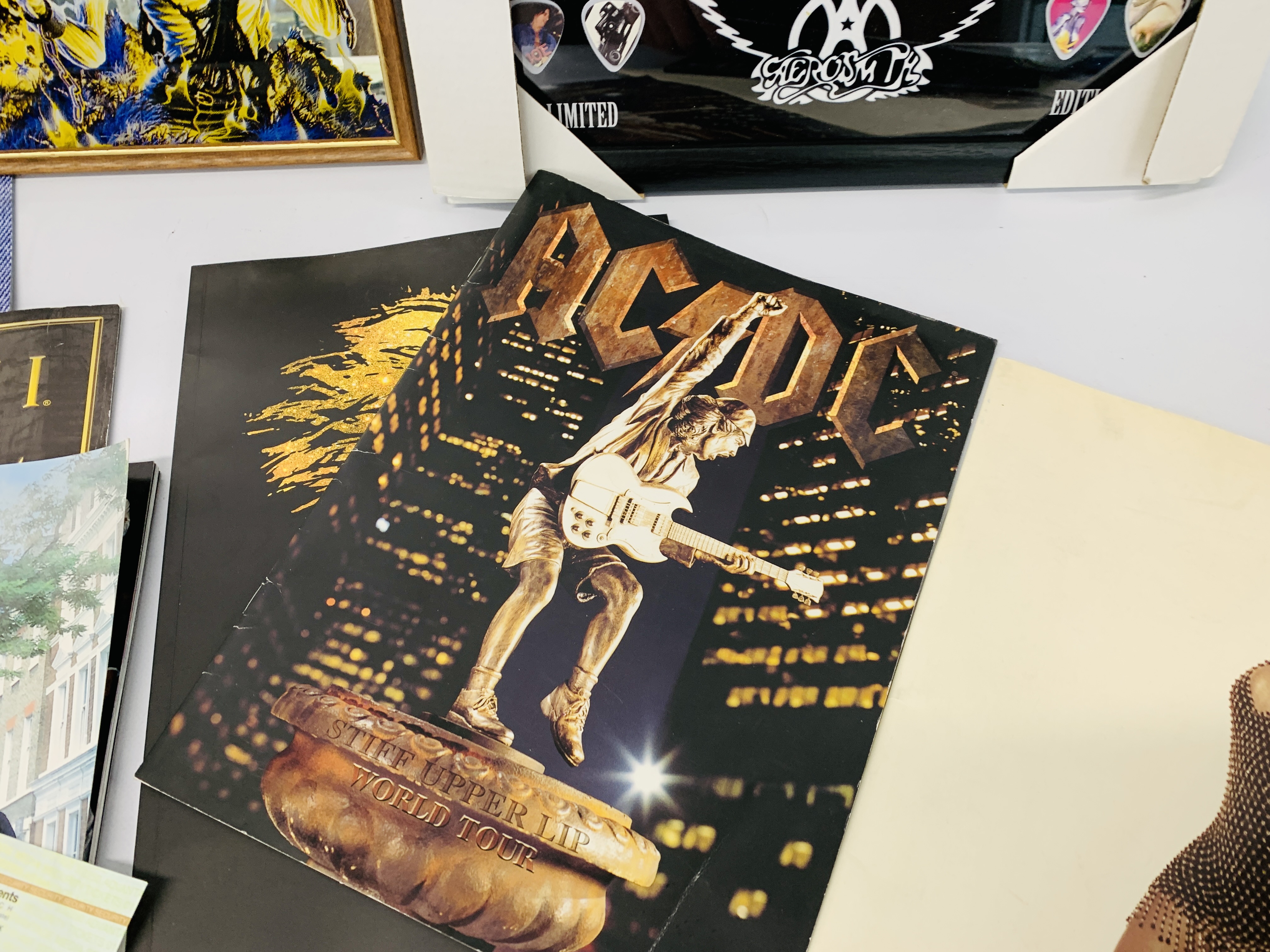 COLLECTION OF MUSIC MEMORABILIA TO INCLUDE IRON MAIDEN MIRROR, TINA TURNER CONCERT BROCHURES, - Image 8 of 12