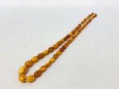 A STRING OF VINTAGE BUTTERSCOTCH EGG YOLK NATURAL AMBER GRADUATED BEADS - L 66CM.