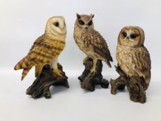 3 X OWL STUDIES TO INCLUDE A BARN OWL, TAWNY OWL AND A LONG EARED OWL - APPROX H 36CM.