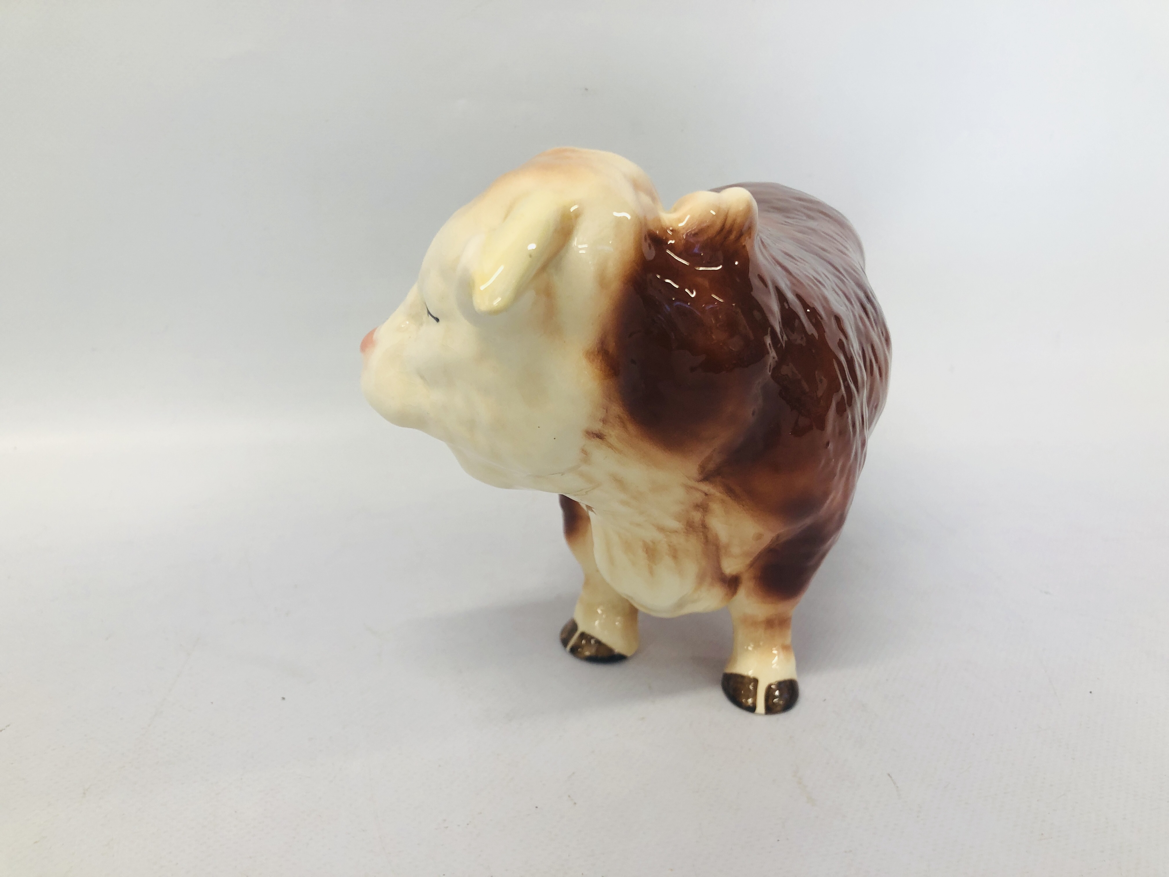 A MELBA WARE HEREFORD BULL - Image 2 of 4