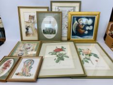 COLLECTION OF ASSORTED FRAMED PRINTS EMBROIDERY'S, PAIR OF FRAMED BOTANICAL PRINTS,