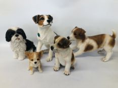 COLLECTION OF 5 DOG MODELS INCLUDING JACK RUSSEL