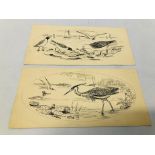 2 X UNFRAMED PEN & INK SKETCHES DEPICTING SEAGULLS & HERONS BEARING SIGNATURE A.