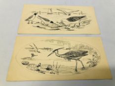 2 X UNFRAMED PEN & INK SKETCHES DEPICTING SEAGULLS & HERONS BEARING SIGNATURE A.