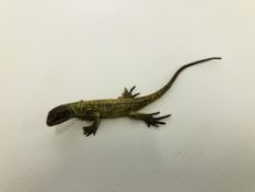 A FRANZ BERGMAN COLD PAINTED BRONZE LIZARD L 9.5CM.