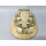 A MODERN SCRIMSHAW LIKE PATRIOTIC DISPLAY PIECE IN THE FORM OF A TURTLE SHELL