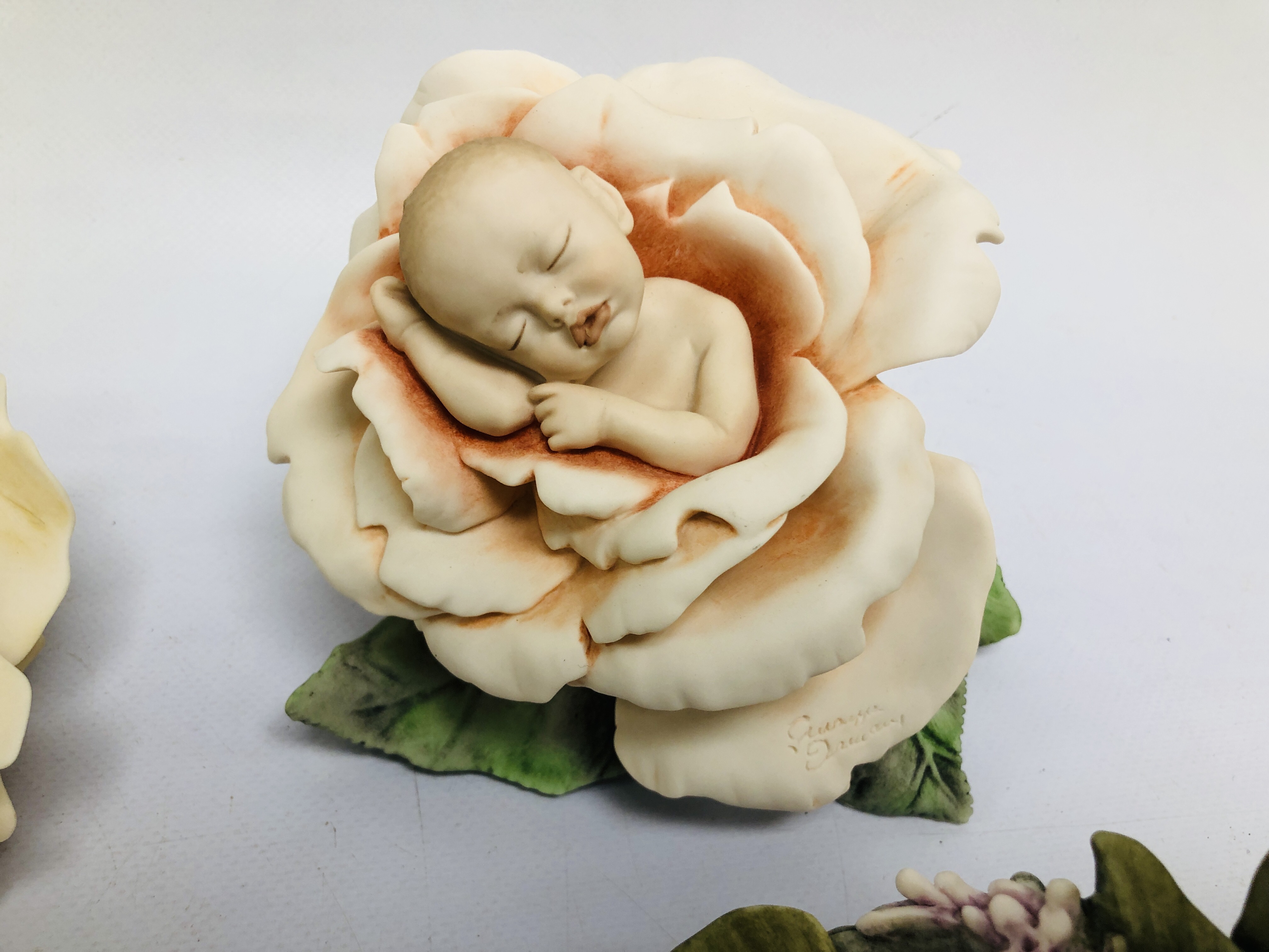 6 BOXED FLORENCE SLEEPING BABY FIGURES TO INCLUDE WATER LILY BABY, ROSE BABY, DAISY BABY, - Image 7 of 8