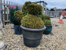 A LARGE STONEWORK GARDEN PLANTER WITH BOX TOPIARY SQUIRREL OVERALL HEIGHT 90CM