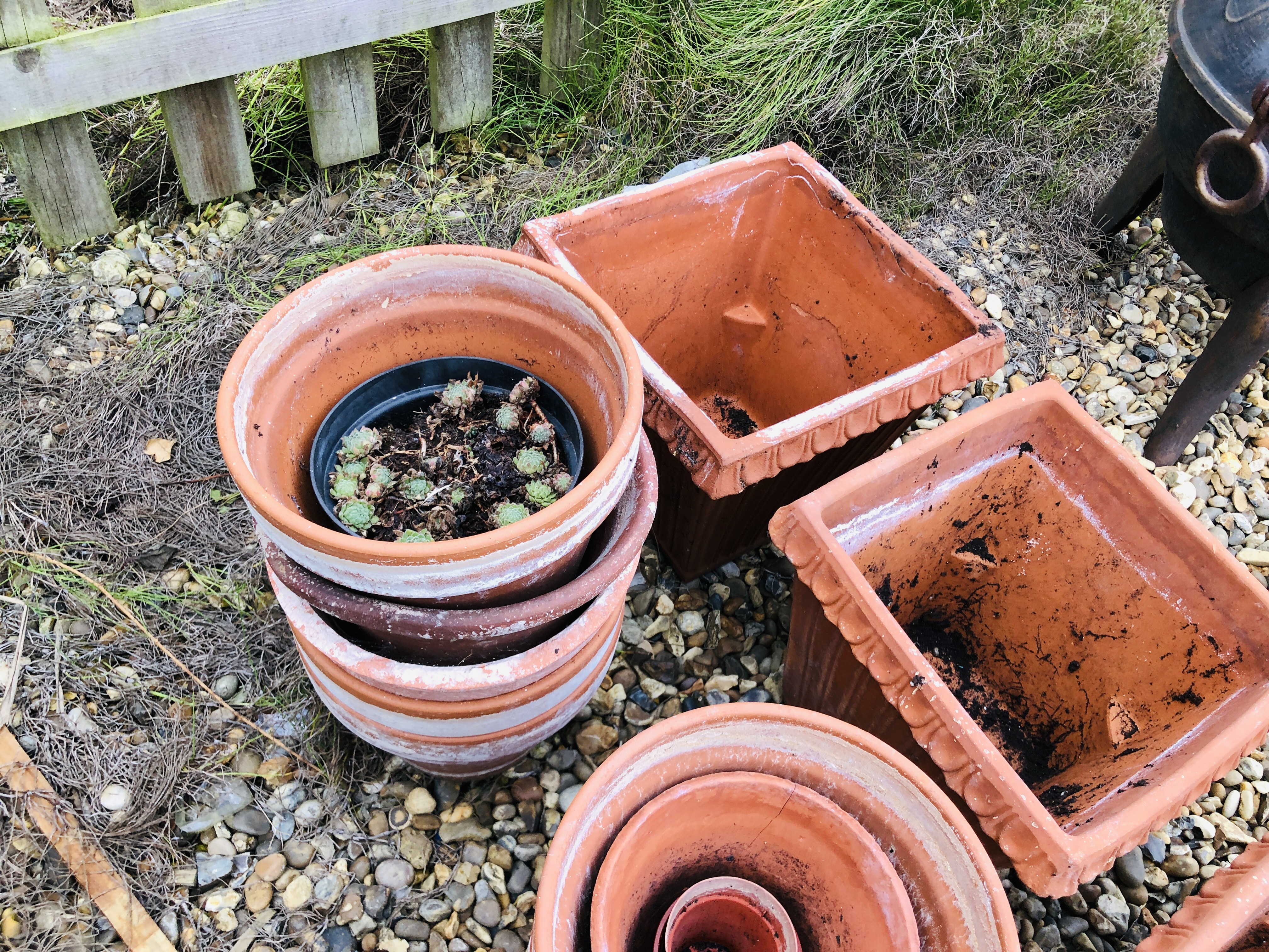 3 TERRACOTTA SQUARE TOP GARDEN PLANTERS ALONG WITH A COLLECTION OF TERRACOTTA POTS - Image 4 of 5