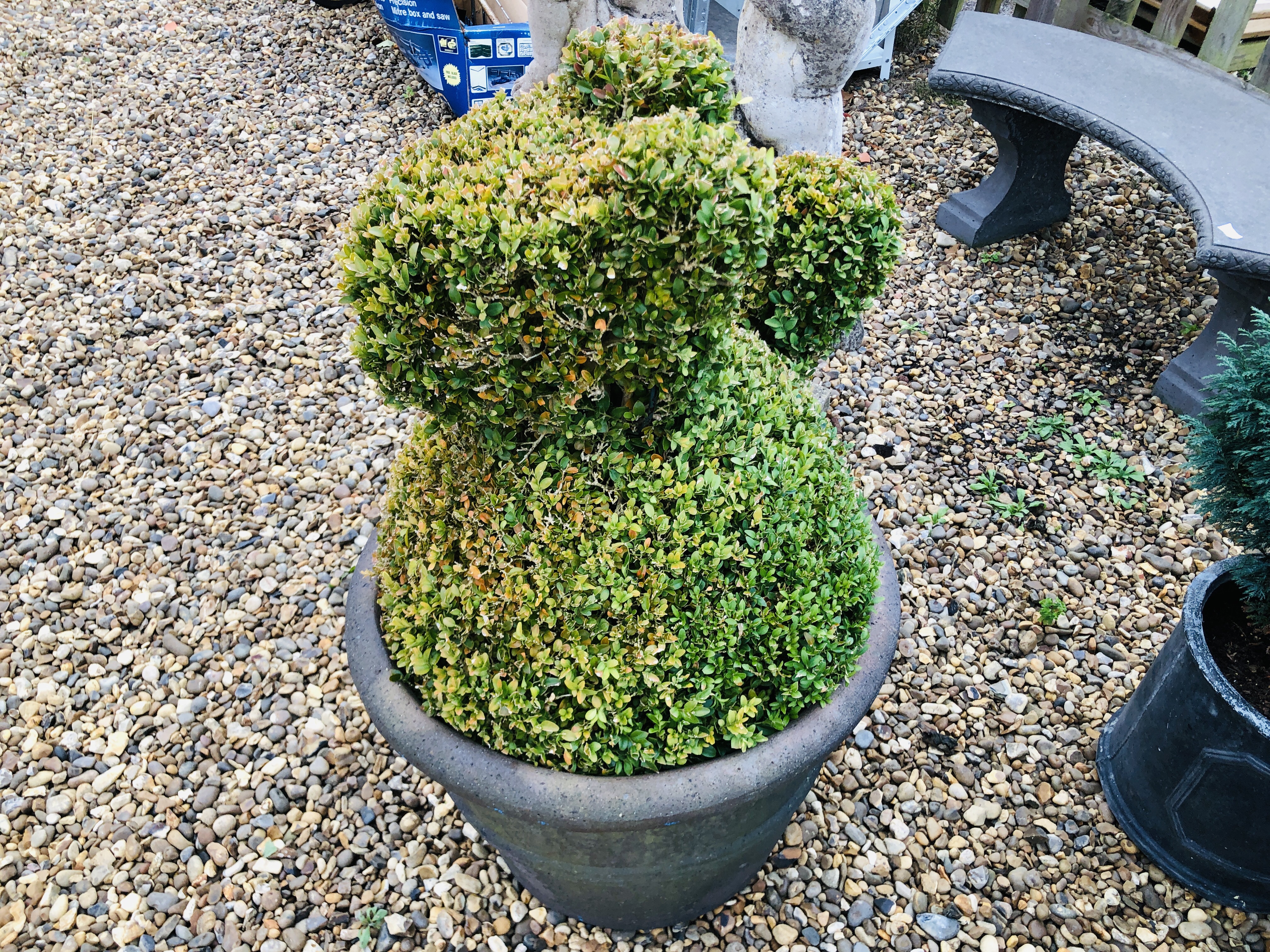 A LARGE STONEWORK GARDEN PLANTER WITH BOX TOPIARY SQUIRREL OVERALL HEIGHT 90CM - Image 3 of 4