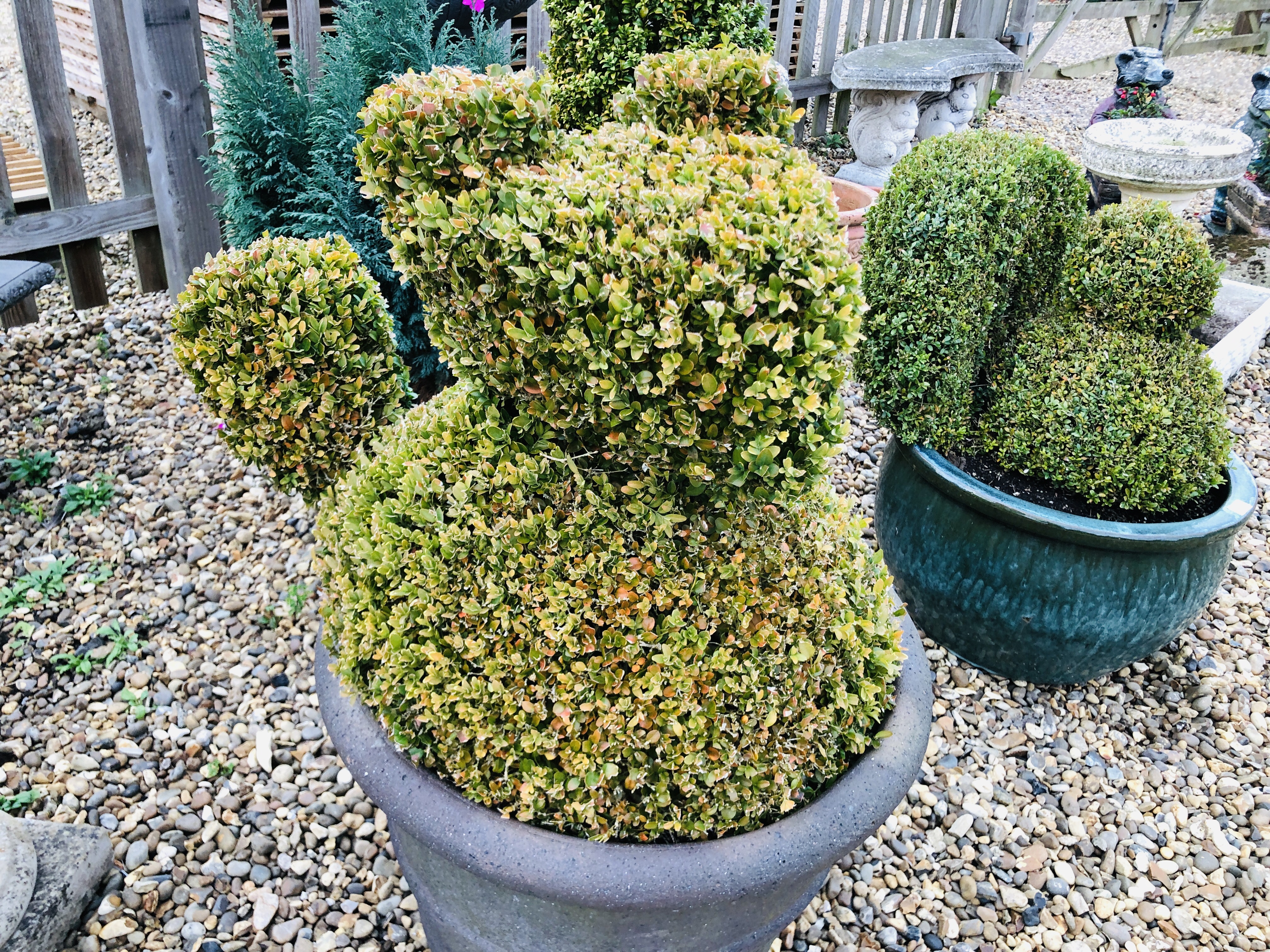 A LARGE STONEWORK GARDEN PLANTER WITH BOX TOPIARY SQUIRREL OVERALL HEIGHT 90CM - Image 2 of 4