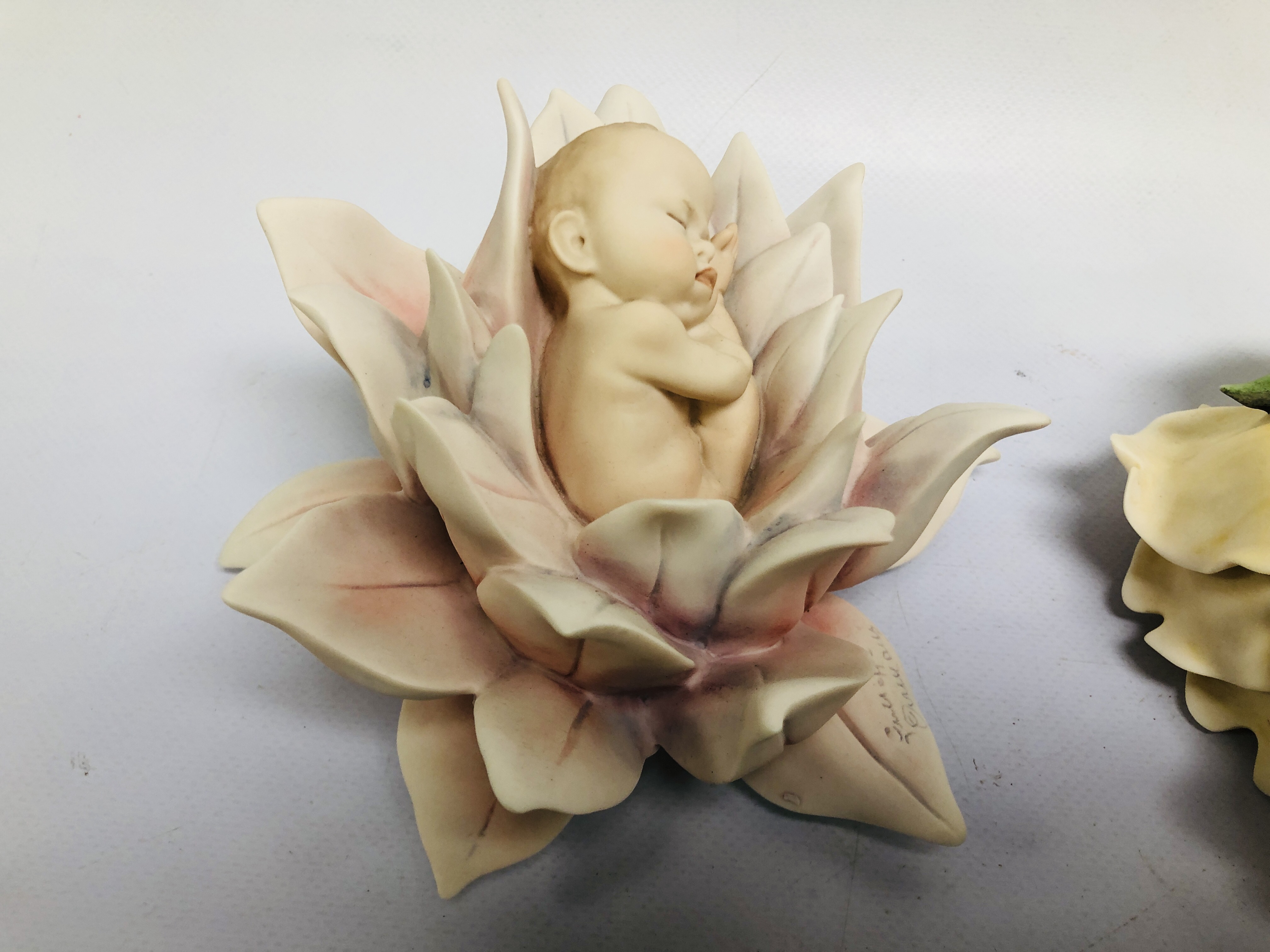 6 BOXED FLORENCE SLEEPING BABY FIGURES TO INCLUDE WATER LILY BABY, ROSE BABY, DAISY BABY, - Image 3 of 8