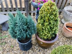 2 LARGE GARDEN PLANTERS ONE WITH BOX,