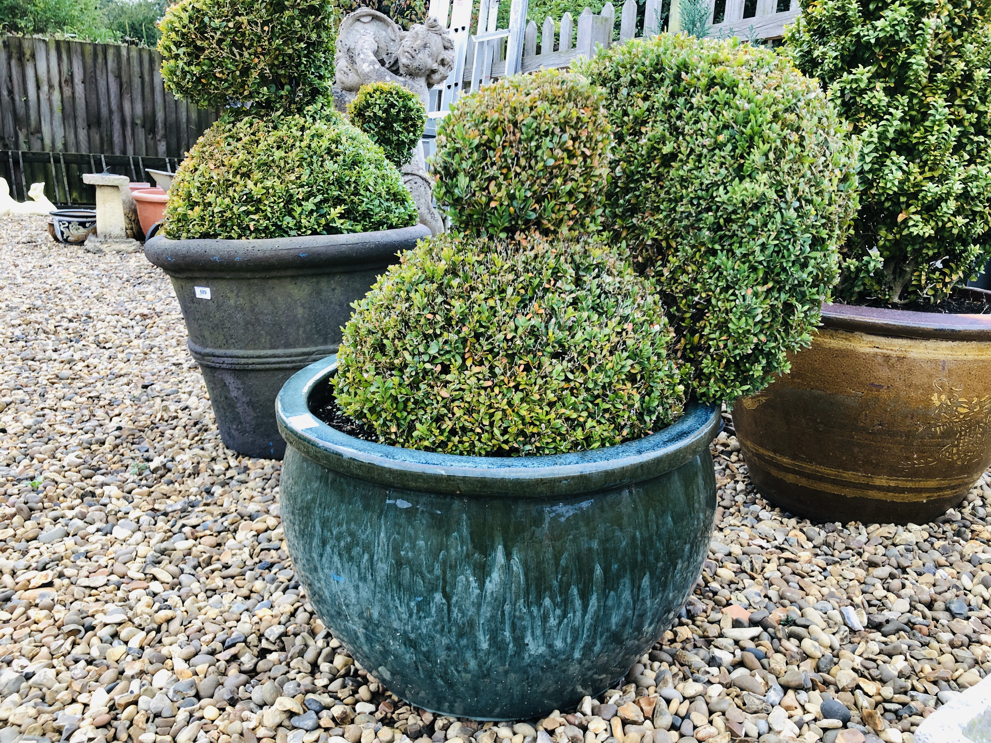 A LARGE GLAZED GARDEN PLANTER WITH BOXED TOPIARY PEACOCK H 75CM - Image 4 of 4