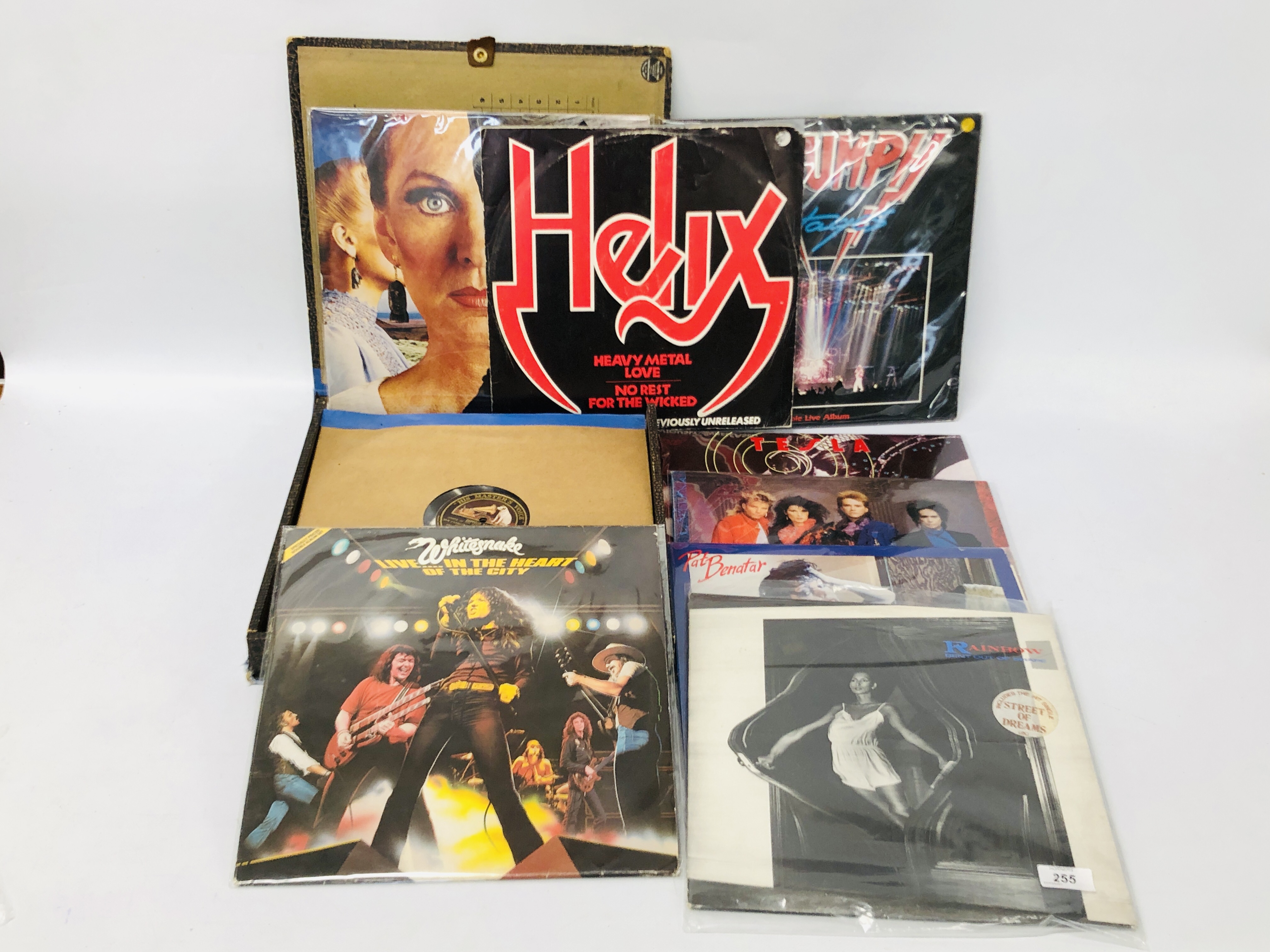 SMALL COLLECTION MIXED RECORDS TO INCLUDE WHITE SNAKE, PAT BENATAR, HEART, TESLA, TRIUMPH, STYX,