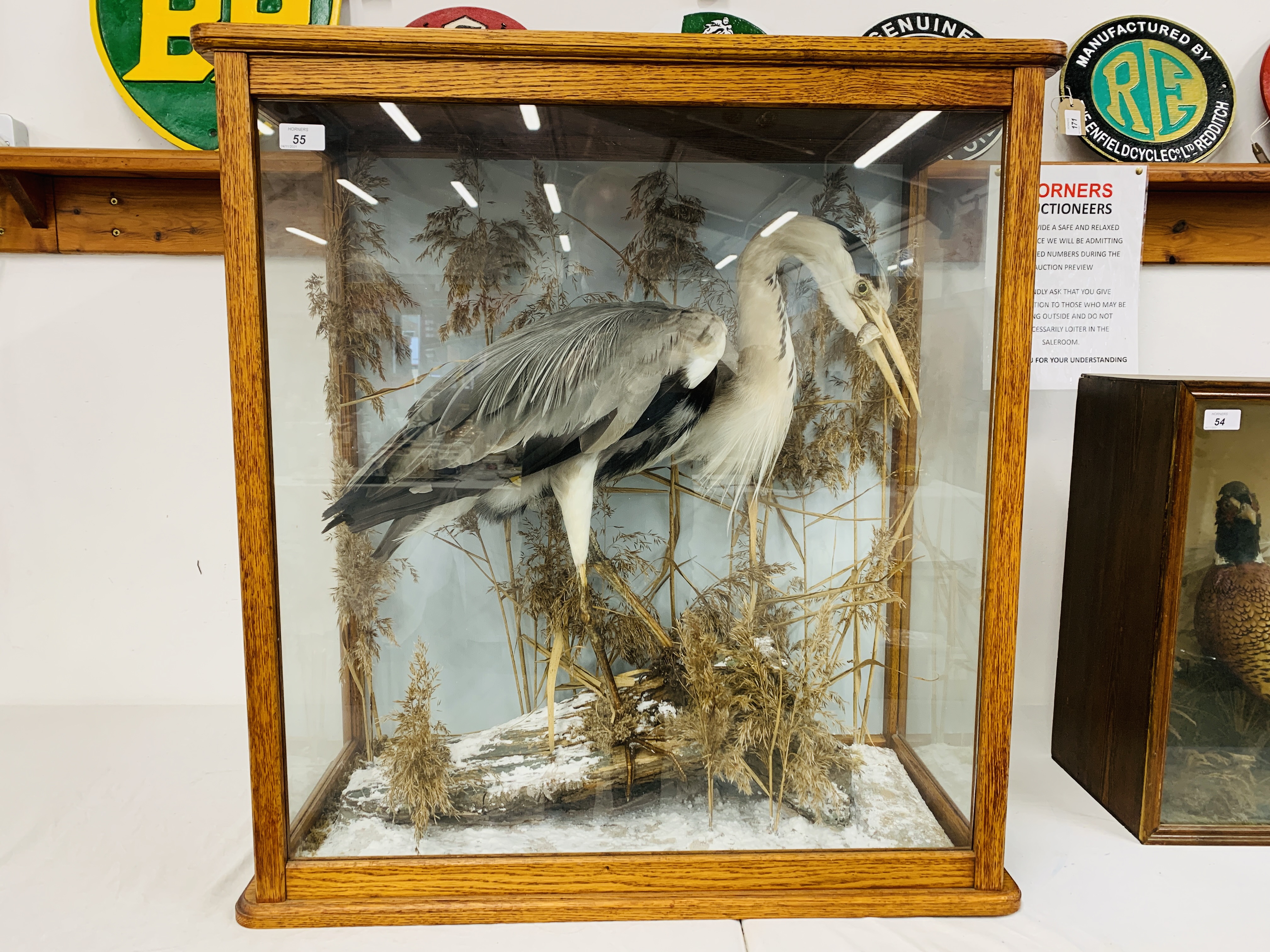 VICTORIAN TAXIDERMY STUDY OF A STANDING HERON HOLDING FISH,