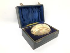 A MOTHER OF PEARL LADIES EVENING PURSE WITH WHITE METAL DETAILING CLASP FITTED WITH INTERIOR MIRROR