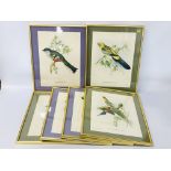 A SET OF SIX FRAMED ORNITHOLOGICAL PRINTS - W 29CM. H 40CM.