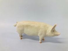 BESWICK SHOW PIG MARKED CH WALL CH BOY 53