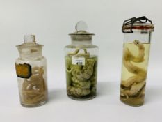 3 X VINTAGE JARS CONTAINING VARIOUS PRESERVED SPECIMENS