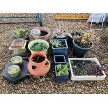 A GROUP OF ASSORTED GARDEN PLANTERS ETC (12 PIECES + 5 SLABS AND 2 WEIGHTS)